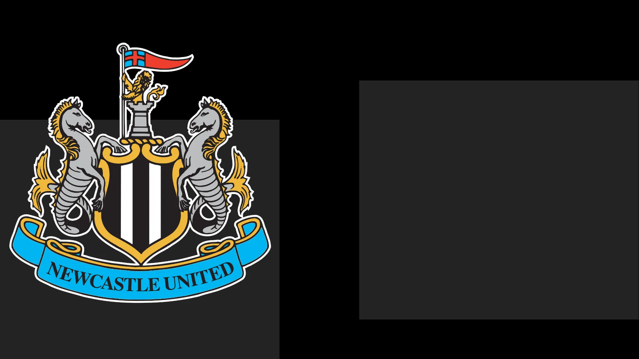 NUFC Issue Statement of Regret to Fans Over Season Ticket Issue