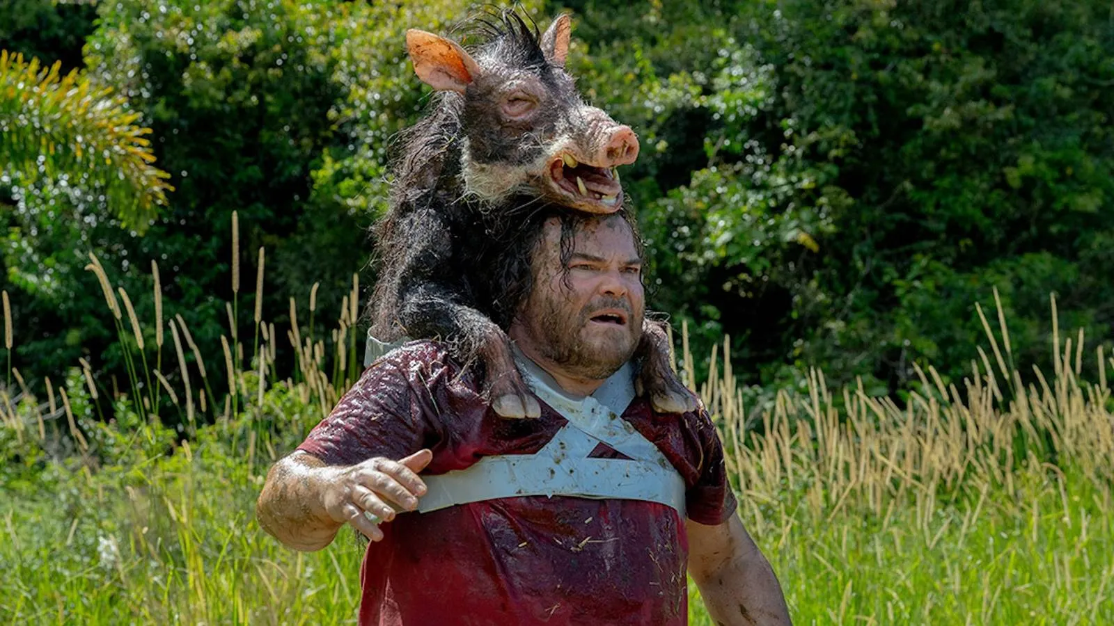 The Studio's Giant Snake Movie Reboot Is a Really Good Idea