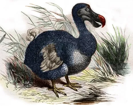 Researchers State They Have Achieved a ‘Major Breakthrough’ in Resurrecting the Extinct Bird for the Initial Instance in Multiple Generations