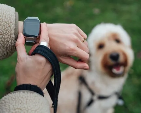 The Truth Concerning Fitness Trackers? Life Improves Devoid of a Nagging Zealot on Your Wristwear
